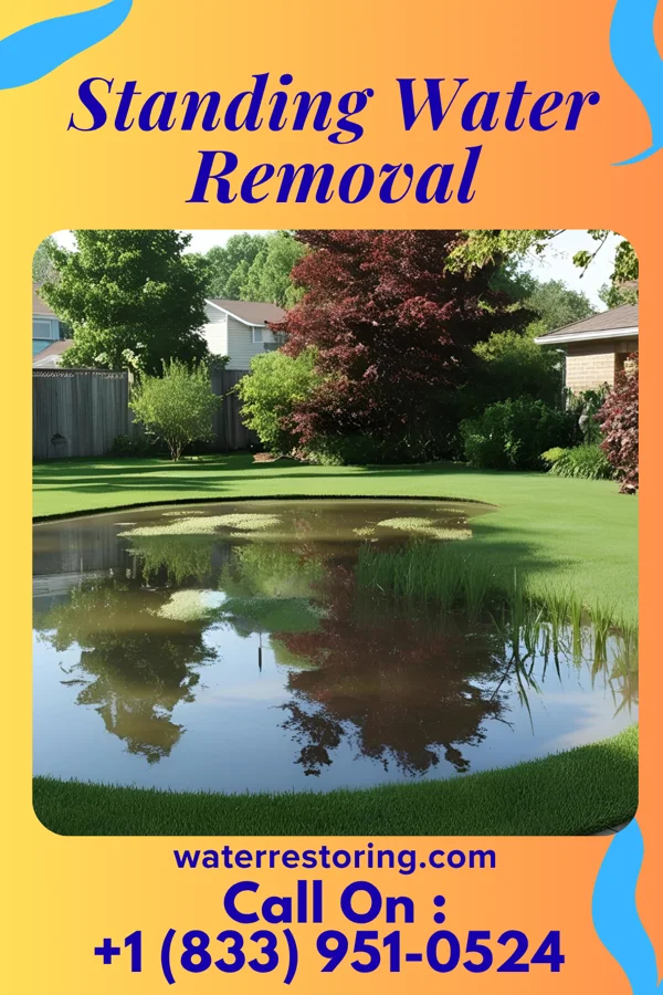 Standing Water Removal in Fillmore, MO